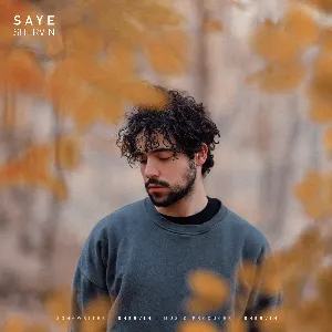 Pochette de Saye de Shervin Hajipour