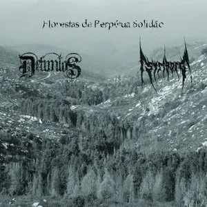 Pochette de Florestas de Perpétua Solidão de Striborg - Defuntos