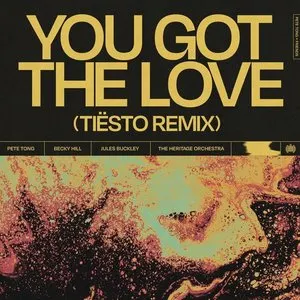 Pochette You Got The Love (Tiësto Remix)