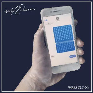 Pochette de Wrestling de Self Esteem