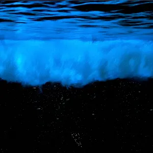 Pochette de Deep End de DEV