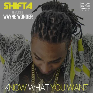 Pochette de Know What You Want de Wayne Wonder