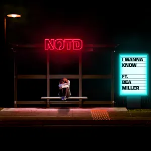 Pochette de I Wanna Know de NOTD