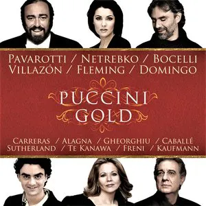 Pochette Puccini Gold