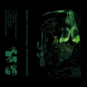 Pochette de Waldeinsamkeit de Electric Dreams