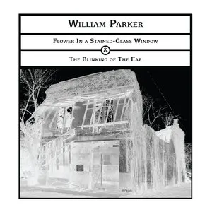 Pochette de Flower in a Stained-Glass Window & The Blinking of the Ear de William Parker