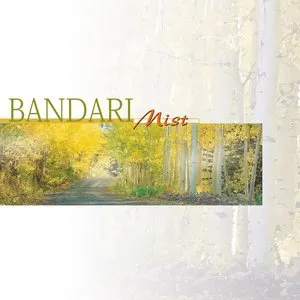 Pochette de Mist de Bandari