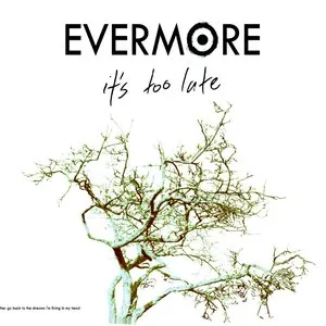 Pochette de It’s Too Late de Evermore