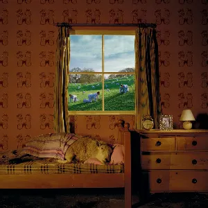 Pochette de Safety in Numbers de Umphrey’s McGee