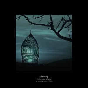 Pochette de Tomorrow Place de Seeming