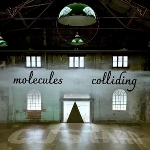 Pochette de Molecules Colliding de Custard