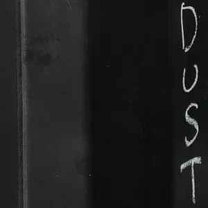 Pochette de Dust to Dust II de Ueda Takayasu