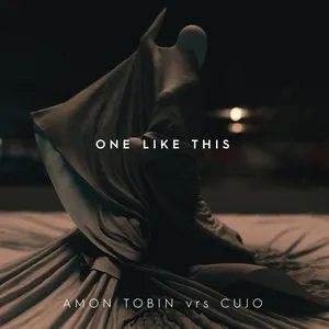 Pochette de One Like This de Cujo - Amon Tobin
