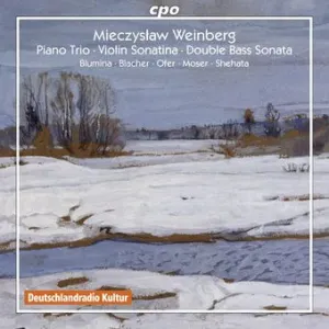 Pochette de Weinberg: Piano Trio / Violin Sonatina / Double Bass Sonata de Johannes Moser