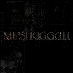 Pochette Meshuggah: Best-Of