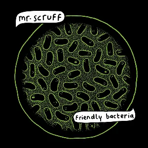 Pochette Friendly Bacteria