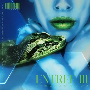 Pochette de ENTREE III: Synchro Room de Farragol