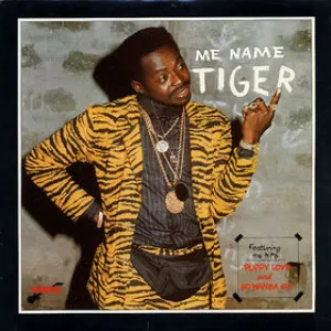 Pochette de Me Name Tiger de Tiger