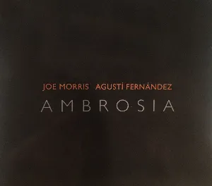 Pochette de Ambrosia de Agustí Fernández - Joe Morris