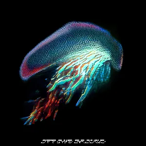 Pochette de Off the Ground de Sub Focus