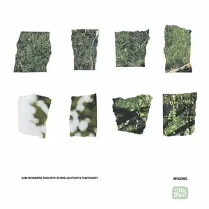 Pochette de Implicatures de Tom Rainey