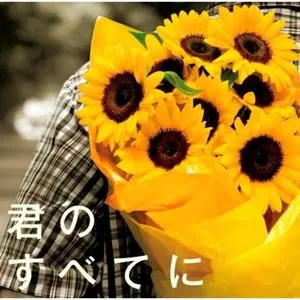 Pochette de 君のすべてに de JUJU