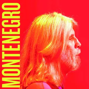 Pochette de Quebra-cabeça Elétrico de Oswaldo Montenegro