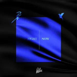 Pochette de Right Now de NURKO