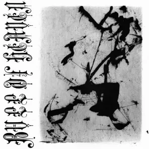 Pochette de XXXVI de Bull of Heaven