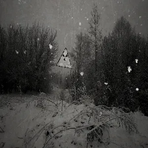 Pochette de Ashen Winter of Chernobyl de Hiemal