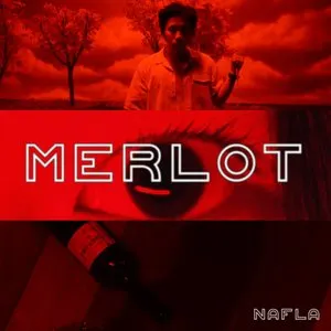 Pochette de merlot de nafla