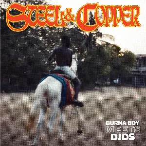 Pochette de Steel & Copper de Burna Boy