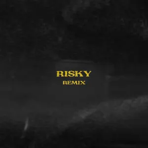 Pochette de Risky (Remix) de Mick Jenkins