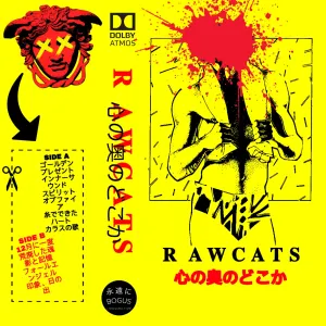 Pochette de 心の奥のどこか de RAWCATS