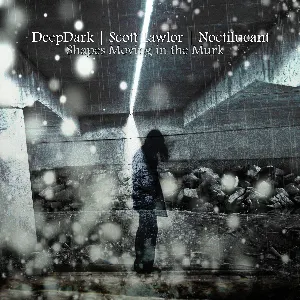 Pochette de Shapes Moving in the Murk de Scott Lawlor