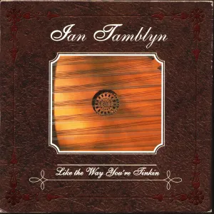 Pochette de Like the Way You're Tinkin' de Ian Tamblyn