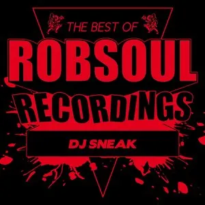 Pochette de Best of DJ Sneak de DJ Sneak