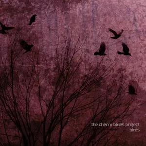 Pochette de Birds de The Cherry Blues Project
