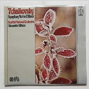Pochette de Symphony No. 4 de Mariinsky Theatre Orchestra - Valery Gergiev - Pyotr Ilyich Tchaikovsky