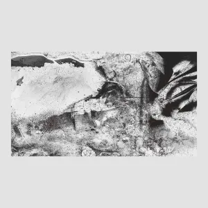 Pochette de The Monochord in My Life de Marc Hasselbalch