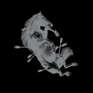 Pochette de Dead Horse X de Touché Amoré