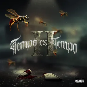 Pochette de Tempo es Tempo II de Tempo
