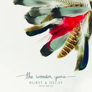 Pochette de Junebug de The Wonder Years
