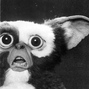 Pochette de 4 U de Revazz