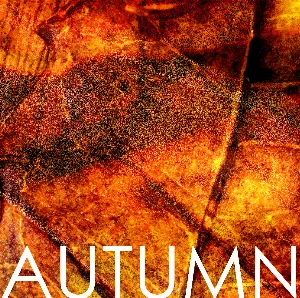 Pochette de AUTUMN o5 de and all was bright