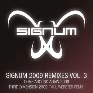 Pochette de Signum 2009 Remixes Vol. 3 de Signum