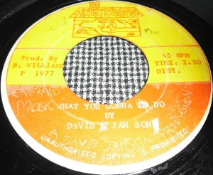 Pochette de What You Gonna Do de David Jahson