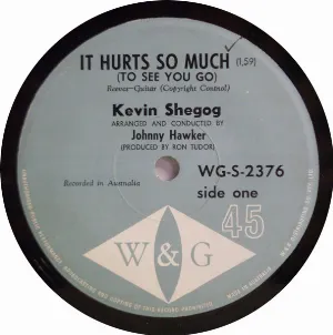 Pochette de It Hurts So Much (to See You Go) de Kevin Shegog