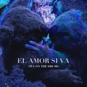 Pochette de El amor sí va de Ovy on the Drums