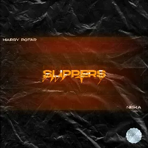 Pochette de Slippers de Harry Potar
